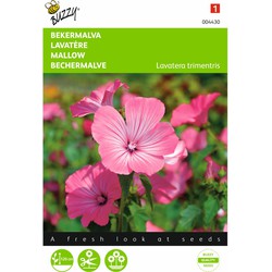 2 stuks - Lavatera trimestris Rose Rood