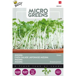 5 stuks - Saatgut Microgreens Mizuna - Buzzy