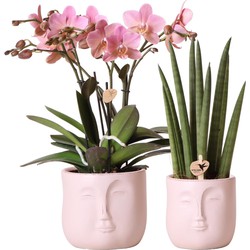 Kolibri Company - Planten set Zen face nude | Set met oudroze Phalaenopsis Orchidee Ø12cm en groene plant Sansevieria Ø9cm | incl. nudekleurige keramieken sierpotten