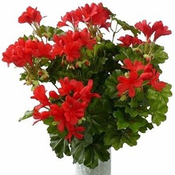 3 stuks kunst geranium rood 40 cm - Kunstplanten