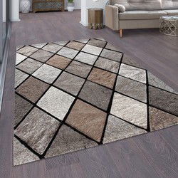 Laagpolig Vloerkleed - Diamesa - Modern - Bruin - 120x170 cm