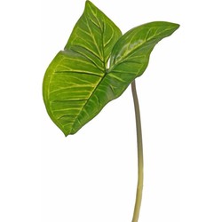 Bellatio Flowers & Plants Kunstplant tak - bladgroen - Aronskelkblad - 53 cm - Kunstbloemen