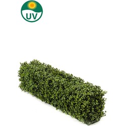 Greenmoods Buxushaag - Buxus sempervirens - Kunstplant - Sterk UV bestendig - 1 Stuk - 100x20x25 - Groen