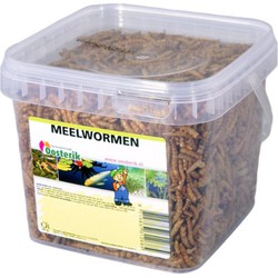 Mehlwürmer 1,2 Liter Futter - Suren Collection