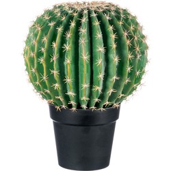 J-line - Cactus+pot Zwart Poly Groen Large - 36x36x46cm