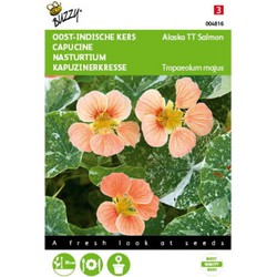 5 stuks - Tropaeolum majus nanum Alaska TT Salmon Tuinplus