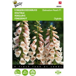 5 stuks - Digitalis Dalmation Peach Tuinplus