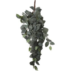 Mica Decorations Fittonia Kunst Hangplant - L15 x B20 x H54 cm - Groen