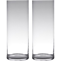 Set van 2x stuks transparante home-basics cylinder vorm vaas/vazen van glas 50 x 19 cm - Vazen