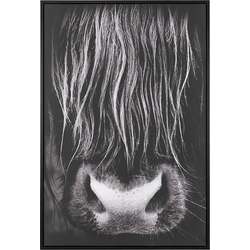 GALEATA - Canvas - Zwart - Polyester