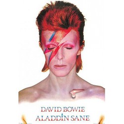 Aladdin Sane maxi poster 61 x 91,5 cm - Posters