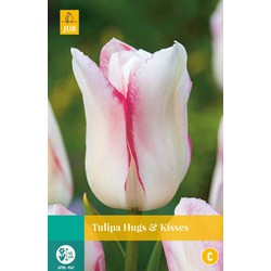 Tulipa Hugs & kisses