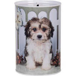 Clayre & Eef Spaarpot Ø 10x15 cm Wit Metaal Hond