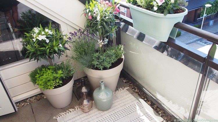 bloemen-planten-balkon-bloempot