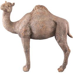 PTMD Deco Object Amaleah - 60x17x54 cm - Magnesium - Bruin