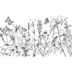 Komar fotobehang Butterfly Field zwart wit - 400 x 250 cm - 610031