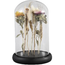 PTMD Rossa Ronde Stolp Gedroogde Bloemen - H22xØ14 cm - Glas