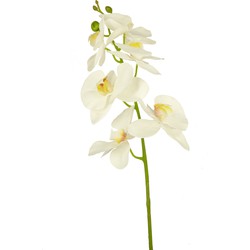 Greenmoods Kunstbloem Orchidee - Orchidaceae - Nep plant - 1 Stuk - 84cm - Wit -