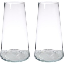 Set van 2x stuks transparante home-basics vaas/vazen van glas 40 x 18 cm Donna - Vazen