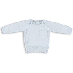 Baby's Only Truitje - lange mouw - Baby Blauw - 68 - 100% ecologisch katoen