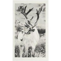 Mijn Stijl - Vaatdoek biodegradable rendier