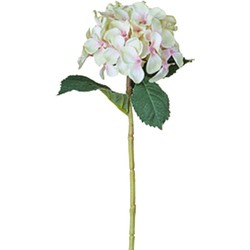 Tige d'Hydrangea - Crème et rose / 26 cm