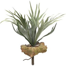 Hertshoorn met blad 33 cm kunstplant