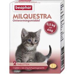 Milquestra kat klein / kitten 0,5 - 4kg