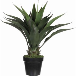 Mica Decorations agave in pot maat in cm: 60 x 25
