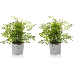 Set van 2x stuks groene kunstplanten varen 30 cm - Kunstplanten