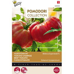 3 stuks - Pomodori bistecca f1