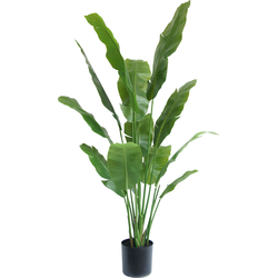 Hoyz Greenery - Kunstplant Strelitzia Nicolai 165 cm