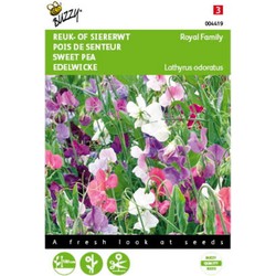 2 stuks - Lathyrus odoratus Royal Family Gem.