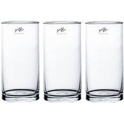 3x Glazen vaas transparant 10 x 20 cm - Vazen