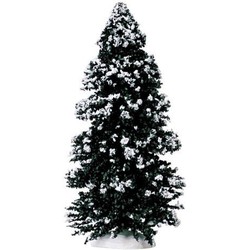 Evergreen tree large