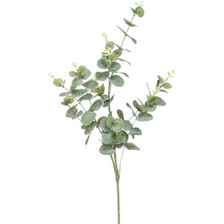 Emerald Kunstplant Eucalyptus - groen - takken - 75 cm - Kunstbloemen