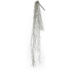 Mica Decorations tillandsia hangend groen maat in cm: 115