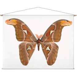 Atlasvlinder - 180 x 130 cm