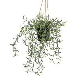 Hoyz Greenery - Kunst hangplant Senecio met pot 35 cm