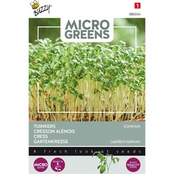 5 stuks - Saatgut Microgreens Kresse - Buzzy