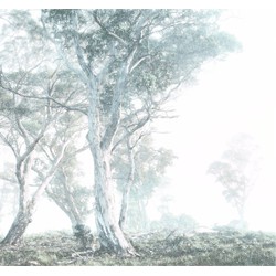 Sanders & Sanders fotobehang bomen groen grijs - 300 x 280 cm - 612410