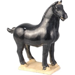 Fine Asianliving Keramiek Chinese Tang Dynastie Paard Zwart