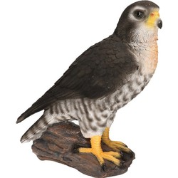 Slechtvalk roofvogel dieren beeldje - 26 cm - Tuin/Huis decoratie - Beeldjes