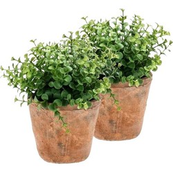 2x Groene kunstplant eucalyptus plant in pot - Kunstplanten