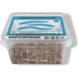 Meelwormen bakje 50g Reptofood