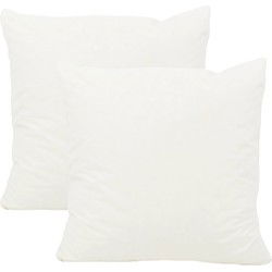 Set van 2 stuks - Binnenkussen | 45 x 45 cm | 700 gram | Traagschuim/ Memoryfoam
