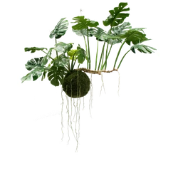 Hoyz Greenery - Kunst hangplant Monstera Deluxe 80 cm