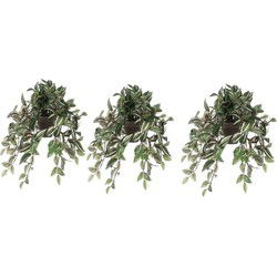 Mica Decorations Kunstplant Tradescantia vader hangplant - 3x - 45 cm - Kunstplanten