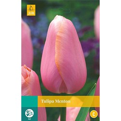 3 stuks - Tulipa Menton 8 bollen