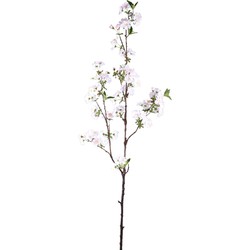 PTMD Kunstbloem Bloesem - 50x30x95 cm - Plastic - Wit